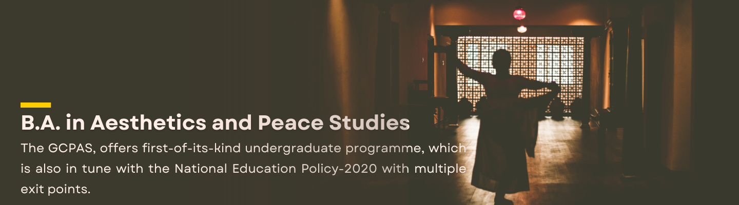 B.A. in Aesthetics and Peace Studies